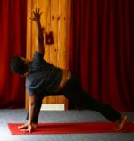 Lila Yoga, Imagery, and Dynamic Alignment (3-Class Workshop)
